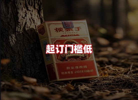 专业团队